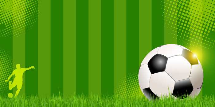 NBA战报：布朗30分8板，凯尔特人121-113击败猛龙